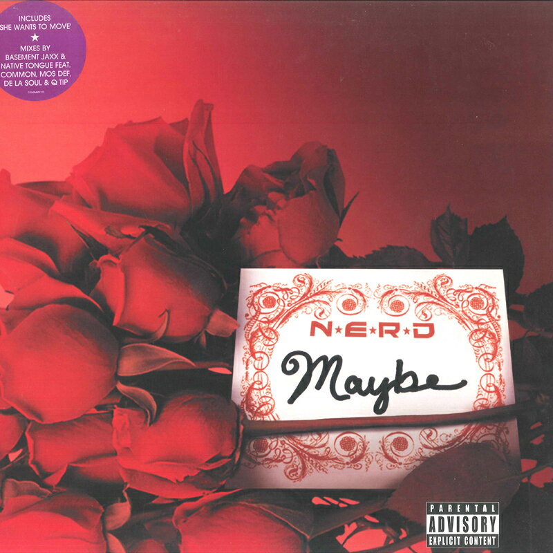 【中古】米12” NERD Maybe VUST291 VIRGIN /00250