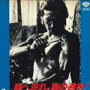 【中古】LASERDISC Movie 南へ走れ、海の道を! LFH501 SHOCHIKU /00600