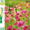 【中古】LASERDISC Movie 花ごよみ 秋 COLE6013 COLUMBIA /00600