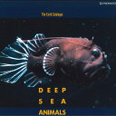 【中古】LASERDISC Movie 地球カタログ 深海生物 PILW91079 PIONEER /00600