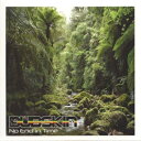 【新品】米CD Dubskin No End In Time DSMCD001 Dubskin Music /00045