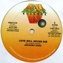 【新品】米12” Anthony Cruz Love Will Never Die HBLP0126 Heavy Beat /00210