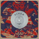 【新品】米7” V.I.V.E.K Illusions Dub / Illusions (Raw Dub) ZAMZAM96 Zam Zam /00048