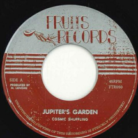 【新品】欧7” Cosmic Shuffling Jupiters Garden / Asteroid Field I FTR050 Fruits Records /00048