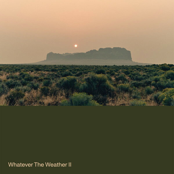 【新品】LP Whatever The Weather Whatever The Weather II (Dark Green Vinyl) GI446LPC1 Ghostly Internationa 未開封 /00260