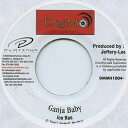 【新品】ジャマイカ7” Ice Ras / Harry Toddler Ganja Baby / Stressing Me DMMH10043 Digi M /...