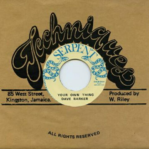 Other - 【新品】7” Dave Barker / Techniques Your Own Thing / War Boat DSRWR710 Techniques/Dub Store /00048