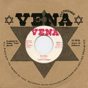 【新品】7” Lloyd Parks Slaving DSRPFB713 Vena/Dub Store Recor /00042(2)