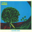 【新品】CD 英rocks Neutral Vibes RR05 Rastafariddim JPN /00046