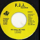 【新品】7” Luciano We Shall Be Free none FJJ Records /00048