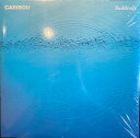 【新品】欧LP Caribou Suddenly SLANGG50247LP City Slang /00260(2)