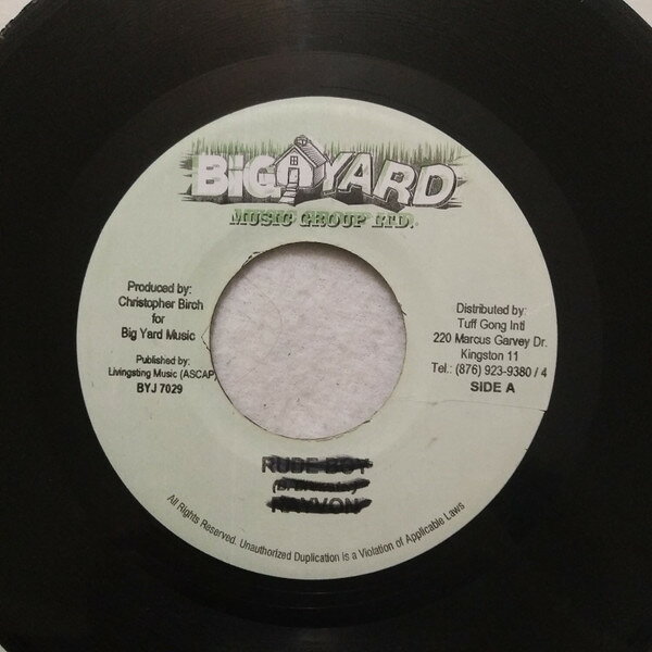 【中古】7” Shaggy , Olivia Wild 2 Nite NONE Big Yard Music Group /00080