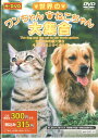 【中古】DVD 世界のワンちゃん ねこちゃん大集合 300DVDJ5 DAISO /00110