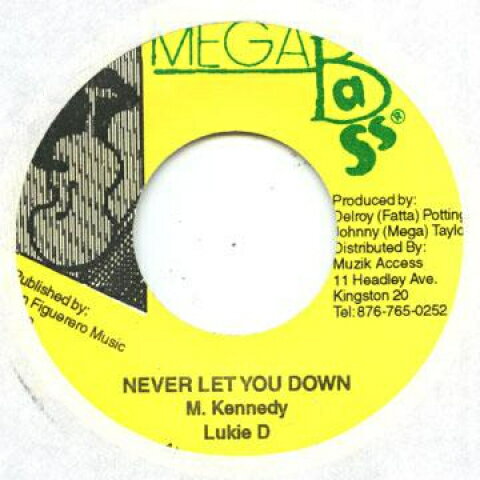 ・アーティスト Lukie D ・タイトル Never Let You Down ・レーベル・型番 Mega Bass none ・フォーマット 7" ・コンディション(盤) 良い (VG+) ・コンディション(ジャケット) ・コンディション(帯) オビなし ・特記事項 サンプル画像です。実際の商品の画像ではありません 商品写真はバーコード/カタログ番号に対応したサンプル画像ですので、お送りする商品の画像ではありません。帯やライナーなどの付属品は、特記事項に記載されている場合のみ含まれます。プロモやカラーレコードなどの仕様についても、該当する場合のみ特記事項に記載しています。 【ご購入前に必ずご確認ください】 ・本店サイト(www.recordcity.jp)とは価格、送料が違います ・本店サイト、その他支店のオーダーとは同梱発送できません ・注文確定後に別の注文を頂いた場合、注文同士の同梱は致しかねます。 ・別倉庫から発送しているため、店頭受け渡しは対応しておりません ・一部商品は他の通販サイトでも販売しているため、ご注文のタイミングによっては商品のご用意ができない場合がございます。 ・土日祝日はお休みです 金曜・祝前日9時以降のご連絡またはご入金は、返答または発送が週明け・祝日明けに順次対応となります。 ・ご購入後のキャンセル不可 ご購入後のキャンセルはいかなる理由においてもお受けできません。ご了承の上、ご購入くださいませ。 ・日本郵便(ゆうパック/ゆうメール)によるお届けになります。 ・中古品であることをご理解ください 当ストアでは中古商品を主に販売しております。中古品であることをご理解の上ご購入ください。また、一部商品はRecordCityオンラインストアで試聴可能です。 ・返品について お客様のご都合による返品は一切承っておりません。 表記の内容と実際の商品に相違がある場合、また針飛び等で返品・返金をご希望される場合は、商品の到着後1週間以内にご連絡ください。商品の返送をこちらで確認後、キャンセル・返金を行います。 コンディションVG以下の商品は返品できません。プレイに影響のない表面のこすれ傷、プレス起因のノイズ盤は返品の対象外です。 【コンディション表記】 ・ほぼ新品(M-)(Like New) 完全な新品。未使用。当店ではほぼ使用しません ・非常に良い(EX)(Excellent) 中古盤として美品な状態。わずかな経年を感じるものの傷みを感じさせない、当店基準で最高の状態 ・良い(VG+)(Very Good Plus) 丁寧に扱われた中古品で、軽い使用感がみられる。 ・可(VG)(Acceptable) 使い込まれた中古品で、「良い」よりもさらに使用感がみられる。 ・悪い(VG-)(Bad) 状態が悪いアイテム。使用の保障はなく、再生不可、針飛び、目立つノイズがあるかもしれない。状態によるクレーム不可。返品不可。 ・非常に悪い(G)(Very Bad) 「悪い」よりさらに状態が悪いアイテム。使用の保障はなく、再生不可、針飛び、目立つノイズがあるかもしれない。状態によるクレーム不可。返品不可。 ・ジャンク(Fair)(Junk/Fair) 割れている、反っている、水ダメージがある、カビ、ジャケットが分離している、ひどい書き込み、ひどい擦れなど最低の状態。使用の保障はなく、再生不可、針飛び、目立つノイズがあるかもしれない。状態によるクレーム不可。返品不可。 ・ジャンク(Poor)(Junk/Poor) 割れている、反っている、水ダメージがある、カビ、ジャケットが分離している、ひどい書き込み、ひどい擦れなど最低の状態。使用の保障はなく、再生不可、針飛び、目立つノイズがあるかもしれない。状態によるクレーム不可。返品不可。
