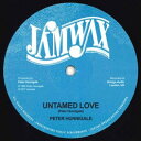 【中古】仏12” Peter Hunnigale Untamed Love / Untamed Dub JAMWAXMAXI08 Jamwax /00180