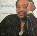 【中古】米CD Artie White Can We Get Together WCD2824 Waldoxy Records 未開封 /00110