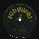 【中古】7” Billy Bates Company Take To The Mountains / Happy SUR8 Survival UK Vinyl ...