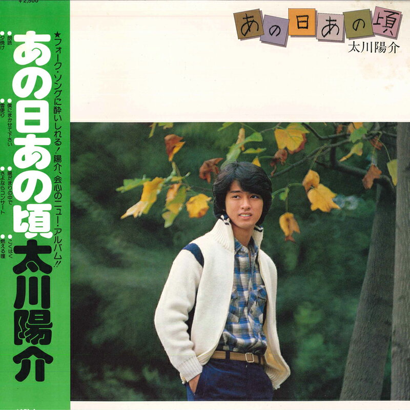 ����š�LP �����۲� ���������κ� SJX20100 VICTOR /00260