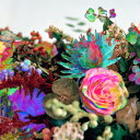 【中古】CD Darkstar News From Nowhere BRC360 Beat Records /00110