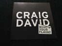 【中古】CD Craig David Whats Your Flava? CDS1399PROMO Telstar プロモ /00110