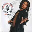 【中古】欧CD Terence Trent DArby / Sananda Terence Trent DArbys - Sananda Maitreyas W...