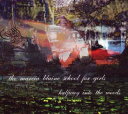 【中古】英CD Marcia Blaine School For Girls Halfway Into The Woods SFHHPLL024 Highpoint Lowlife レンタル落ち /00110