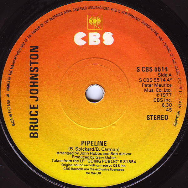 ・アーティスト Bruce Johnston ・タイトル Pipeline ・レーベル・型番 CBS SCBS5514 ・フォーマット 7インチレコード ・コンディション(盤) 良い (VG+) ・コンディション(ジャケット) プレインカバー（元ジャケット／カバー無し） ・コンディション(帯) オビなし ・特記事項 サンプル画像です。実際の商品の画像ではありません 商品写真はバーコード/カタログ番号に対応したサンプル画像ですので、お送りする商品の画像ではありません。帯やライナーなどの付属品は、特記事項に記載されている場合のみ含まれます。プロモやカラーレコードなどの仕様についても、該当する場合のみ特記事項に記載しています。 【ご購入前に必ずご確認ください】 ・本店サイト(www.recordcity.jp)とは価格、送料が違います ・本店サイト、その他支店のオーダーとは同梱発送できません ・注文確定後に別の注文を頂いた場合、注文同士の同梱は致しかねます。 ・別倉庫から発送しているため、店頭受け渡しは対応しておりません ・一部商品は他の通販サイトでも販売しているため、ご注文のタイミングによっては商品のご用意ができない場合がございます。 ・土日祝日はお休みです 金曜・祝前日9時以降のご連絡またはご入金は、返答または発送が週明け・祝日明けに順次対応となります。 ・ご購入後のキャンセル不可 ご購入後のキャンセルはいかなる理由においてもお受けできません。ご了承の上、ご購入くださいませ。 ・日本郵便(ゆうパック/ゆうメール)によるお届けになります。 ・中古品であることをご理解ください 当ストアでは中古商品を主に販売しております。中古品であることをご理解の上ご購入ください。また、一部商品はRecordCityオンラインストアで試聴可能です。 ・返品について お客様のご都合による返品は一切承っておりません。 表記の内容と実際の商品に相違がある場合、また針飛び等で返品・返金をご希望される場合は、商品の到着後1週間以内にご連絡ください。商品の返送をこちらで確認後、キャンセル・返金を行います。 コンディションVG以下の商品は返品できません。プレイに影響のない表面のこすれ傷、プレス起因のノイズ盤は返品の対象外です。 【コンディション表記】 ・ほぼ新品(M-)(Like New) 完全な新品。未使用。当店ではほぼ使用しません ・非常に良い(EX)(Excellent) 中古盤として美品な状態。わずかな経年を感じるものの傷みを感じさせない、当店基準で最高の状態 ・良い(VG+)(Very Good Plus) 丁寧に扱われた中古品で、軽い使用感がみられる。 ・可(VG)(Acceptable) 使い込まれた中古品で、「良い」よりもさらに使用感がみられる。 ・悪い(VG-)(Bad) 状態が悪いアイテム。使用の保障はなく、再生不可、針飛び、目立つノイズがあるかもしれない。状態によるクレーム不可。返品不可。 ・非常に悪い(G)(Very Bad) 「悪い」よりさらに状態が悪いアイテム。使用の保障はなく、再生不可、針飛び、目立つノイズがあるかもしれない。状態によるクレーム不可。返品不可。 ・ジャンク(Fair)(Junk/Fair) 割れている、反っている、水ダメージがある、カビ、ジャケットが分離している、ひどい書き込み、ひどい擦れなど最低の状態。使用の保障はなく、再生不可、針飛び、目立つノイズがあるかもしれない。状態によるクレーム不可。返品不可。 ・ジャンク(Poor)(Junk/Poor) 割れている、反っている、水ダメージがある、カビ、ジャケットが分離している、ひどい書き込み、ひどい擦れなど最低の状態。使用の保障はなく、再生不可、針飛び、目立つノイズがあるかもしれない。状態によるクレーム不可。返品不可。