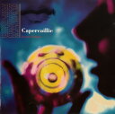 【中古】独CD Capercaillie Secret People 74321162742 Survival Records /00110