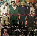 【中古】デンマークCD Strawberry Slaughterhouse Teenage Torturechamber STRAW00001 EMI-Medley /00110