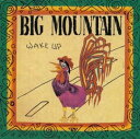 【中古】CD ビッグ・マウンテン ウェイク・アップ BVCG637PROMO Quality Records (2) プロモ /00110