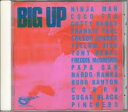【中古】CD Various Big Up TECX25170 24x7 Records /00110