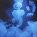 【中古】CD 姫神 千年回廊 POCA01488 Pony Canyon /00110