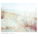 【中古】CD tomonojo miyagi ambience parade FAMC193 IntroDuCing! 紙ジャケ レンタル落ち /00110