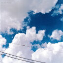 【中古】CD サニーデイ・サービス Best Sky MDCL1407 Midi Inc. /00110