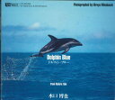 【中古】CD 水口博也 ドルフィン・ブルー SF010 SYNFOREST /00110