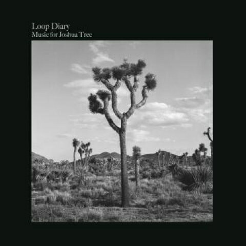 【新品】LP Loop Diary Music For Joshua Tree GRLP001 Glocal Records JPN /00200
