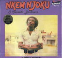 【新品】英LP Nkem Njoku & Ozzobia Ozobia Special BBE507ALP BBE /00260