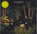【新品】LP Echo & The Bunnymen Evergreen LMS5521768 London Records /00260