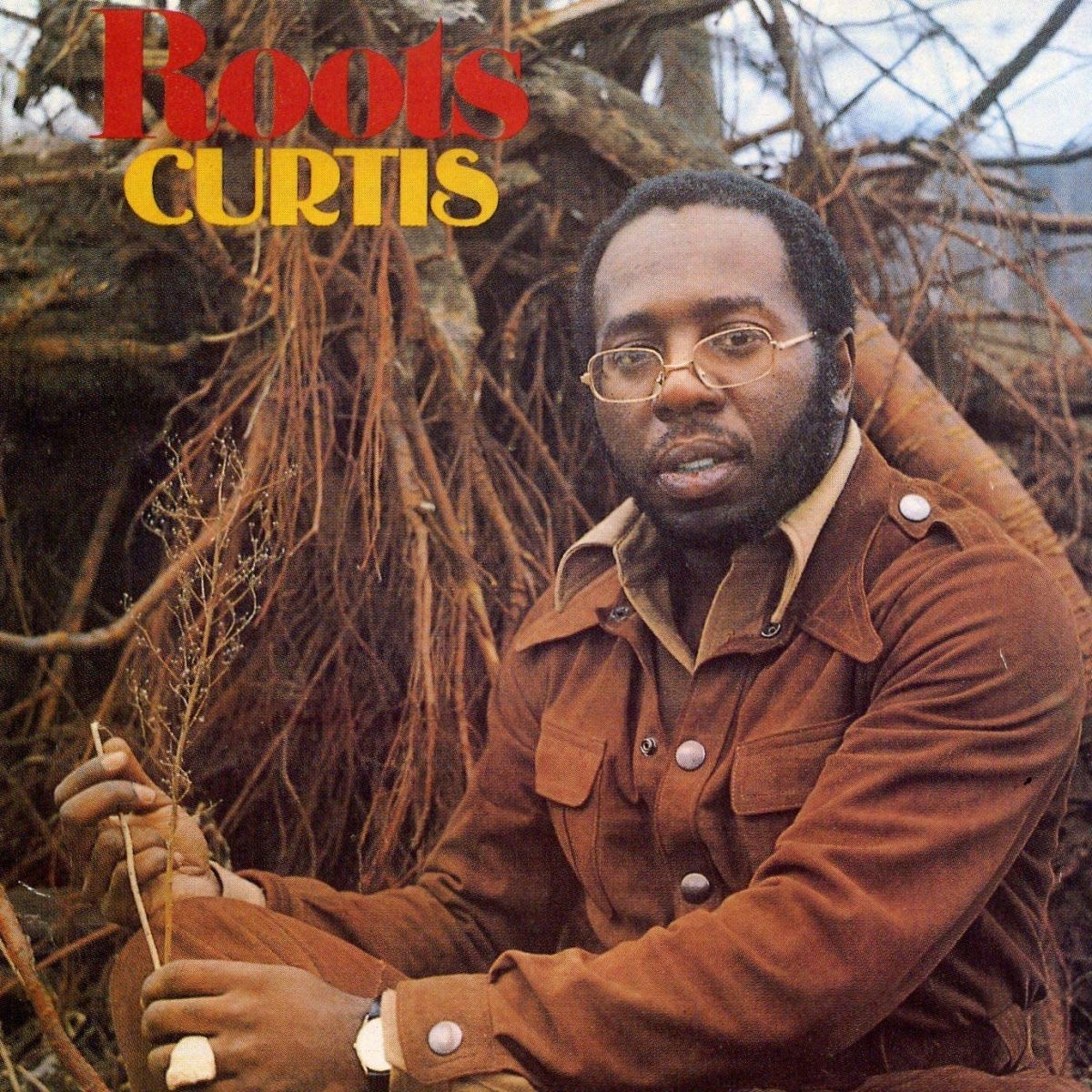 【中古】葡CD Curtis Mayfield Roots MPG74027 Movieplay Gold /00110のサムネイル