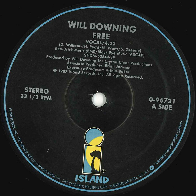 【中古】米12” Will Downing Free 096721 ISLAND /00260