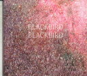 【中古】CD Blackbird Blackbird Summer Heart ARTPL015PROMO PLANCHA 紙ジャケ プロモ /00110