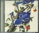 【中古】CD Glimpse Bird Corection PCD93270PROMO P-VINE プロモ /00110