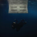 【新品】仏LP Billie Eilish HIT ME HARD AND SOFT 602465270495 Darkroom /00260