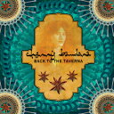 【新品】英LP Cherry Bandora Back To The Taverna Rumi012/1 Rumi Sounds /00260
