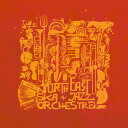 【新品】西LP North East Ska Jazz Orchestra North East Ska Jazz Orchestra BR045LP Brixton Records /00260
