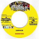【中古】独7” Beenie Man / Randy Valentine Survivor / Lock Me Up NONE Jugglerz Records /00080