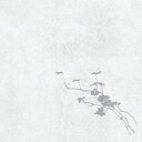 【中古】独LP This Is A Process Of A Still L Light SXL20003 Firefly Sessions /00260