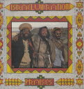 【中古】英LP Israel Vibration Praises RAS3054 Real Authentic Sound /00260
