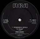 【中古】英12” Sam Cooke Wonderful World PT49872 RCA /00250