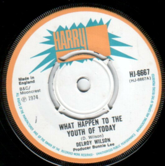 【中古】英7” Delroy Wilson What Happen To The Youth Of Today HJ6667 Harry J Records /00080